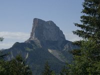 F, Isere, Gresse-en-Vercors, Mont Aiguille 50, Saxifraga-Willem van Kruijsbergen