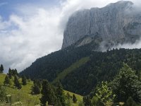 F, Isere, Gresse-en-Vercors, Mont Aiguille 54, Saxifraga-Willem van Kruijsbergen