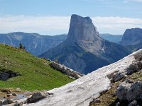 F, Isere, Gresse-en-Vercors, Mont Aiguille 6, Saxifraga-Willem van Kruijsbergen