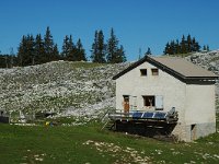 F, Isere, Gresse-en-Vercors, Nouvelle Jasse de la Chau 2, Saxifraga-Marijke Verhagen