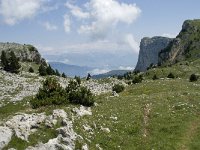 F, Isere, Gresse-en-Vercors, Pas de la Selle 21, Saxifraga-Willem van Kruijsbergen