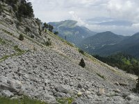 F, Isere, Gresse-en-Vercors, Pas de la Selle 27, Saxifraga-Willem van Kruijsbergen