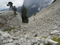 F, Isere, Gresse-en-Vercors, Pas de la Selle 31, Saxifraga-Willem van Kruijsbergen