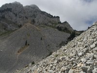 F, Isere, Gresse-en-Vercors, Pas de la Selle 45, Saxifraga-Willem van Kruijsbergen