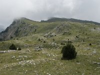 F, Isere, Gresse-en-Vercors, Pas de la Selle 48, Saxifraga-Willem van Kruijsbergen