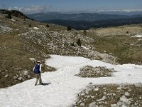 F, Isere, Gresse-en-Vercors, Pas des Bachassons 14, Saxifraga-Jan van der Straaten