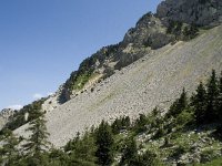 F, Isere, Gresse-en-Vercors, Pas des Bachassons 22, Saxifraga-Willem van Kruijsbergen