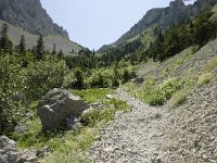 F, Isere, Gresse-en-Vercors, Pas des Bachassons 29, Saxifraga-Willem van Kruijsbergen