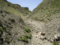 F, Isere, Gresse-en-Vercors, Pas des Bachassons 42, Saxifraga-Willem van Kruijsbergen