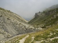 F, Isere, Gresse-en-Vercors, Pas des Bachassons 46, Saxifraga-Willem van Kruijsbergen