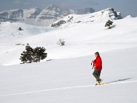 F, Isere, Gresse-en-Vercors, Pas du Serpaton 3, Saxifraga-Jan van der Straaten