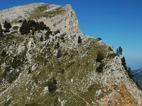 F, Isere, Gresse-en-Vercors, Pierre Blanche 4, Saxifraga-Marijke Verhagen