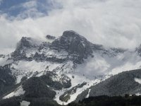 F, Isere, Gresse-en-Vercors, Pierre Blanche 8, Saxifraga-Jan van der Straaten