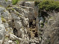 F, Isere, Gresse-en-Vercors, Roc de Cogniere 5, Saxifraga-Willem van Kruijsbergen