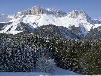 F, Isere, Gresse-en-Vercors, Rocher de Seguret 4, Saxifraga-Jan van der Straaten