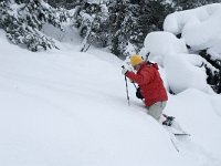 F, Isere, Gresse-en-Vercors, Serpaton 4, Saxifraga-Marijke Verhagen