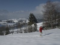 F, Isere, Gresse-en-Vercors, Serpaton 5, Saxifraga-Jan van der Straaten