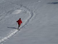 F, Isere, Gresse-en-Vercors, Serpaton 7, Saxifraga-Jan van der Straaten