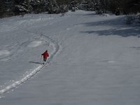 F, Isere, Gresse-en-Vercors, Serpaton 8, Saxifraga-Jan van der Straaten