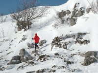 F, Isere, Gresse-en-Vercors, Somme Longue 5, Saxifraga-Jan van der Straaten