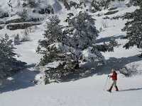 F, Isere, Gresse-en-Vercors, Somme Longue 7, Saxifraga-Marijke Verhagen