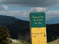 F, Isere, Gresse-en-Vercors, Sous le Pas de la Ville 1, Saxifraga-Willem van Kruijsbergen