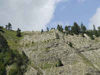 F, Isere, Gresse-en-Vercors, Tiolache 4, Saxifraga-Willem van Kruijsbergen