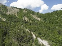 F, Isere, Gresse-en-Vercors, Tiolache 7, Saxifraga-Willem van Kruijsbergen