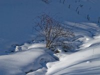 F, Isere, Gresse-en-Vercors, Uclaire 13, Saxifraga-Jan van der Straaten