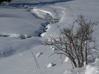 F, Isere, Gresse-en-Vercors, Uclaire 14, Saxifraga-Jan van der Straaten