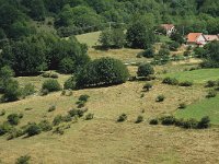 F, Isere, Gresse-en-Vercors, Uclaire 2, Saxifraga-Jan van der Straaten