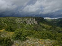 F, Lozere, Causse Mejean 12, Saxifraga-Dirk Hilbers