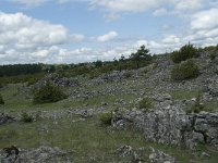 F, Lozere, Le Pompidou, l' Hospitalet 42, Saxifraga-Willem van Kruijsbergen