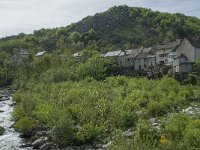 F, Lozere, Le-Pont-de-Montvert 14, Saxifraga-Willem van Kruijsbergen