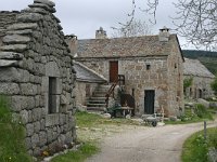 F, Lozere, Le-Pont-de-Montvert, Bellecoste 2, Saxifraga-Dirk Hilbers