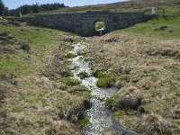 F, Lozere, Le-Pont-de-Montvert, Col de Finiels 16, Saxifraga-Willem van Kruijsbergen