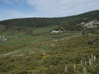 F, Lozere, Le-Pont-de-Montvert, Finiels 21, Saxifraga-Willem van Kruijsbergen