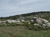 F, Lozere, Le-Pont-de-Montvert, Finiels 48, Saxifraga-Willem van Kruijsbergen