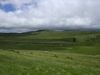 F, Lozere, Le-Pont-de-Montvert, Mont Lozere 2, Saxifraga-Dirk Hilbers