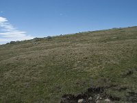 F, Lozere, Le-Pont-de-Montvert, Sommet de Finiels 30, Saxifraga-Willem van Kruijsbergen