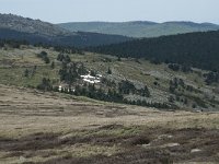 F, Lozere, Le-Pont-de-Montvert, Sommet de Finiels 43, Saxifraga-Willem van Kruijsbergen