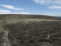 F, Lozere, Le-Pont-de-Montvert, Sommet de Finiels 84, Saxifraga-Willem van Kruijsbergen