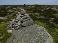 F, Lozere, Le-Pont-de-Montvert, Sommet des Fineils 3, Saxifraga-Dirk Hilbers