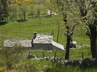 F, Lozere, Le-Pont-de-Monvert, Felgerolles 2, Saxifraga-Marijke Verhagen