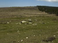 F, Lozere, Le-Pont-de-Monvert, Finiels 5, Saxifraga-Marijke Verhagen