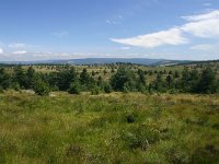 F, Lozere, Pont-de-Montvert-Sud-Mont-Lozere, Picde Finiels 21, Saxifraga-Dirk Hilbers