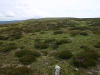 F, Lozere, Pont-de-Montvert-Sud-Mont-Lozere, Picde Finiels 26, Saxifraga-Dirk Hilbers