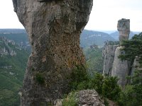 F, Lozere, Le Rozier 12, Saxifraga-Dirk Hilbers