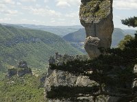 F, Lozere, Le Rozier 6, Saxifraga-Marijke Verhagen