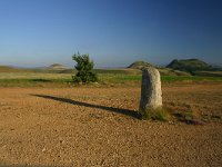 F, Lozere, Les Bondons 45, Saxifraga-Dirk Hilbers